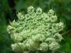 2008-07-01 013.jpg